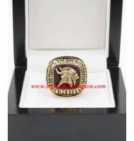 1973 Minnesota Vikings National Football Conference Championship Ring, Custom Minnesota Vikings Champions Ring